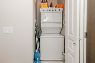 Photo 24: 419 9399 ALEXANDRA ROAD in Richmond: West Cambie Condo for sale : MLS®# R2686708