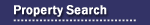 Property Search