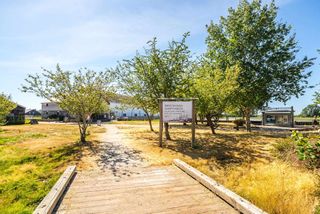 Photo 6: 422 12931 RAILWAY AVENUE in Richmond: Steveston South Condo for sale in "BRITANNIA" : MLS®# R2670071