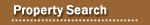 Property Search