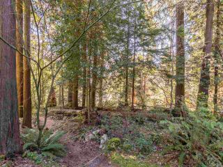 Photo 34: 867 FREDERICK Road in North Vancouver: Lynn Valley Townhouse for sale in "Laura Lynn" : MLS®# R2569757